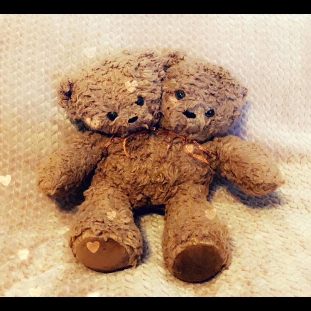 Interest check! NOT for sale two headed teddy bear